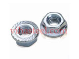 Hastelloy Flange Nuts