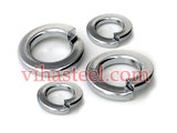 Inconel Spring Washer