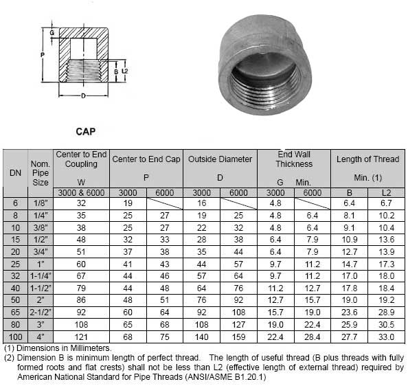 Threaded Pipe Cap Weight