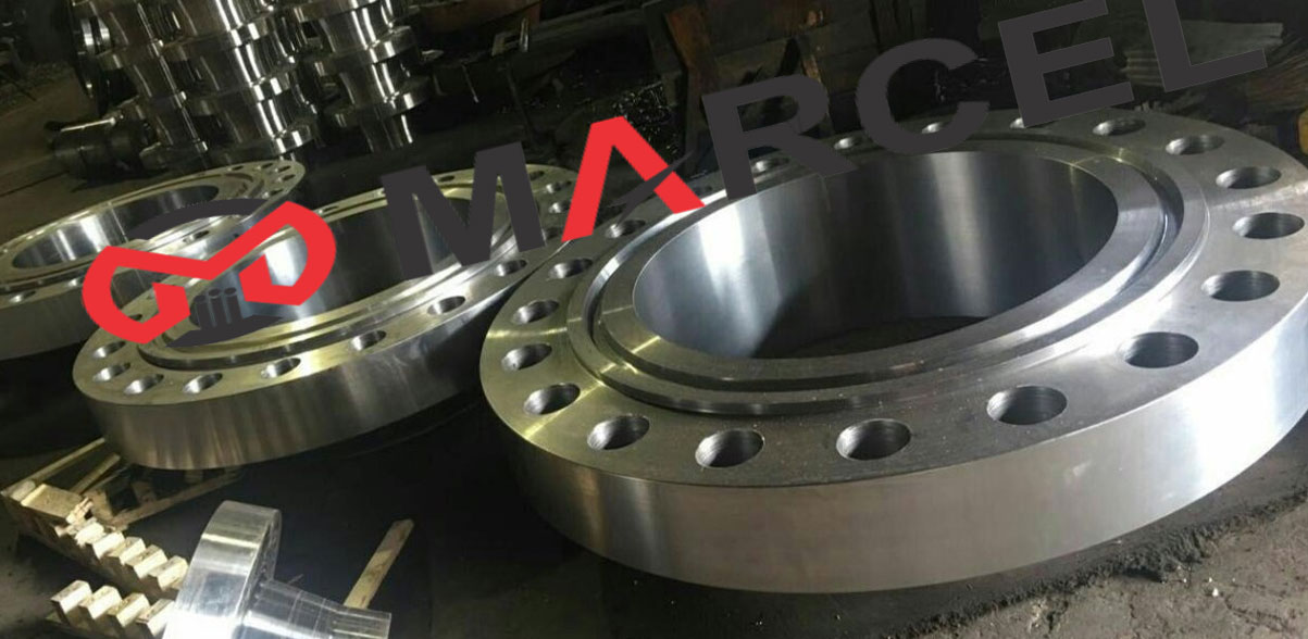 SS 304 Flanges