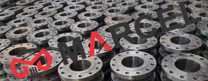 ASTM A182 S31803/S32205 Duplex Steel Flanges