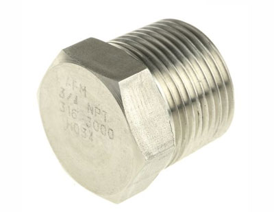 Stainless Steel Socket Weld Plug