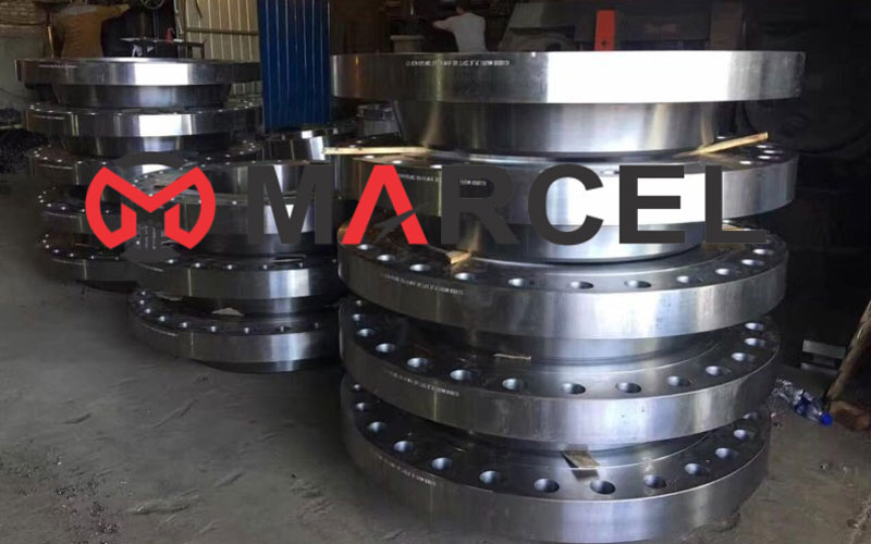 SMO 254 Flanges Manufacturer