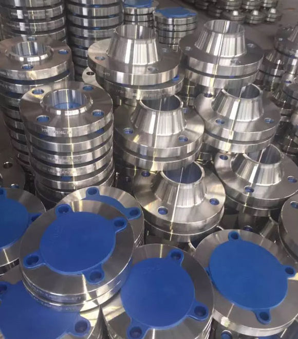 Stainless Steel Flanges