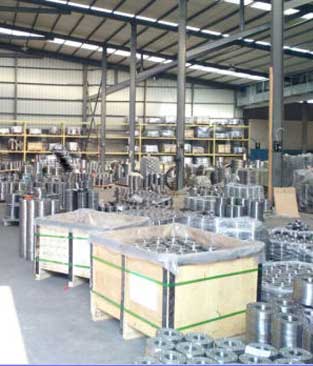 Stainless Steel 316 Flanges