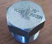 ASTM A350 Lf2 Class 1 Hex Plug