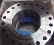 Stainless Steel 316 Forged Flanges