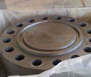 Stainless Steel Blind Flange