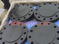 A105 Carbon Steel Blind Flange Manufacturers In India