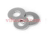 Duplex Steel Punched Washer