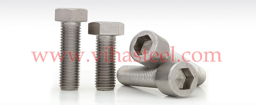 Stainless Steel 317L Screws manufacturers in India