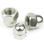 Stainless Steel Cap Nuts